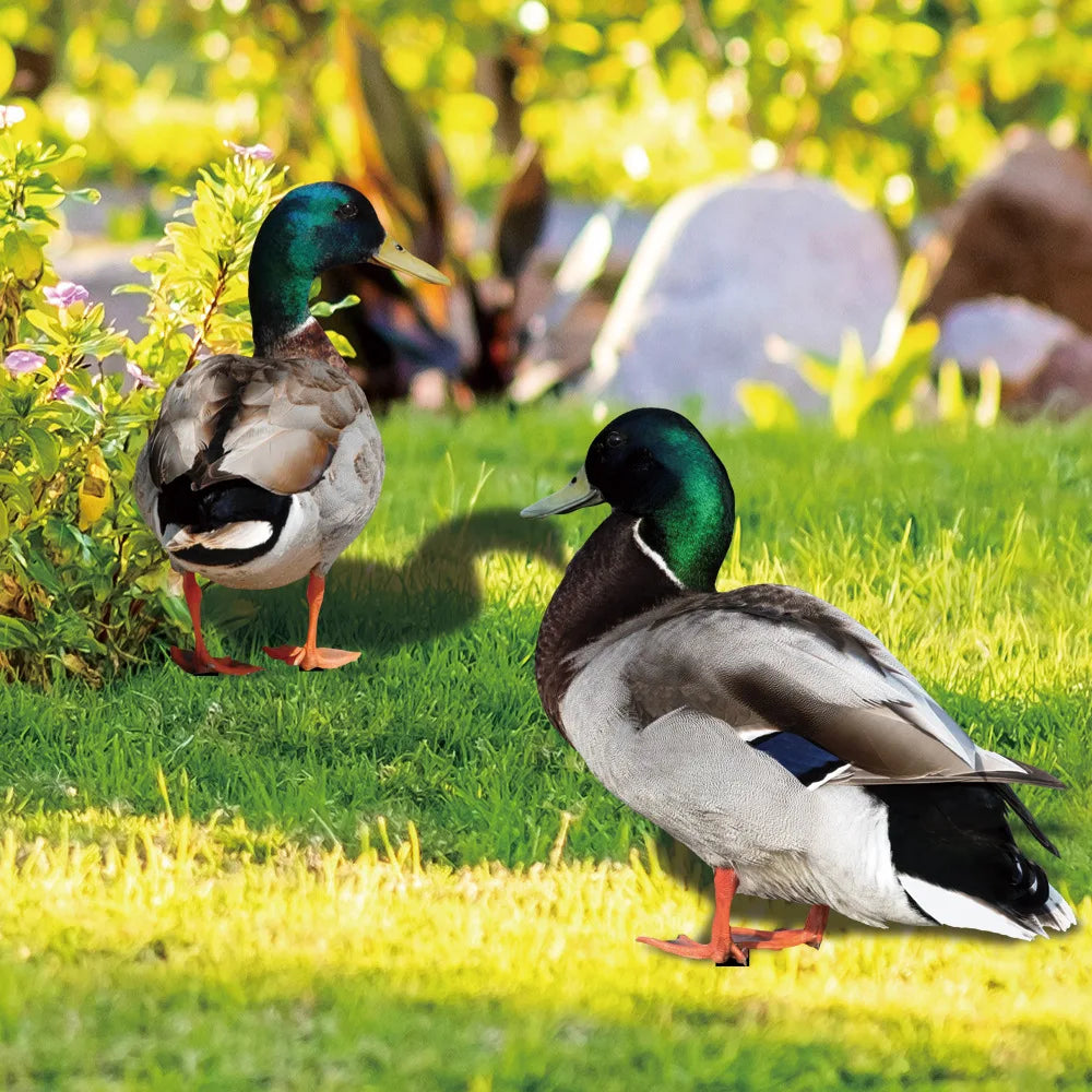 Sedf0bd8bac3f45f7b83c935c0454c0821