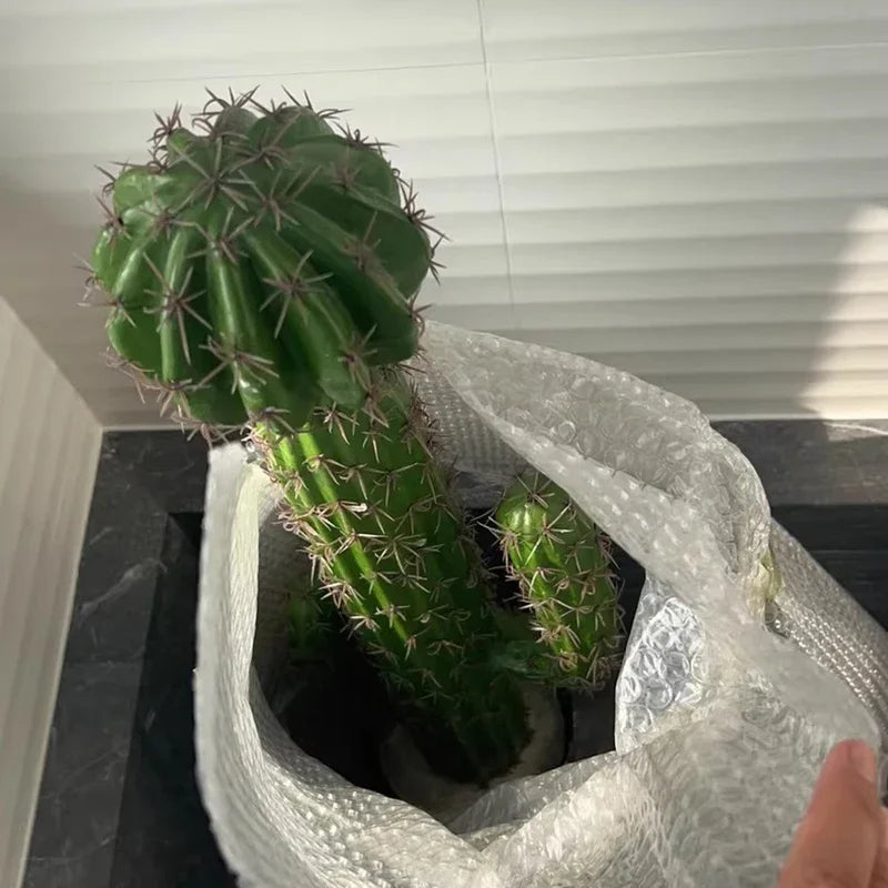 Sef0a6b815c4043ba81bd22f1be513342O